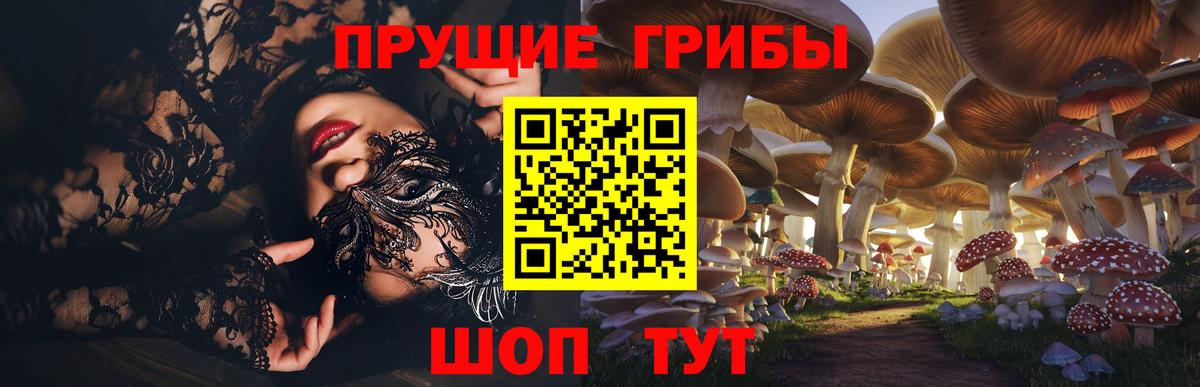 Псилоцибиновые грибы прущие грибы  Псилоцибиновые грибы MAGIC MUSHROOMS  Вход с VPN  Малгобек 