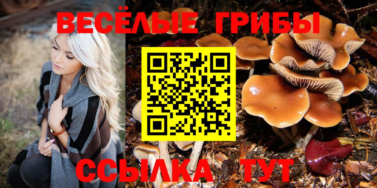 Галлюциногенные грибы Magic Shrooms Малгобек